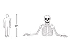 New! 5ft Halloween White Ground Breaking Skeleton