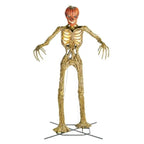 💝✨12 ft. Giant-Sized Skeleton with LifeEyes