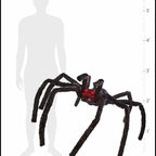 Poisonous spiders Animated