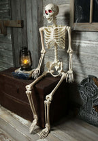 Mr. Crazy Bonez Animated Skeleton Prop