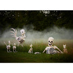 New! Red Shed 6 ft. Halloween Skeleton Rooster
