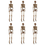Poseable Pitted Skeleton with LED Eyes (6-Pack)
