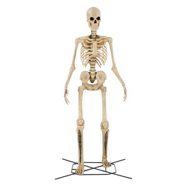 Giant-Sized Skeleton with LifeEyes LCD Eyes