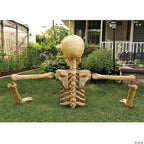 4 Ft. Posable Skeleton Halloween Decoration