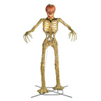 12 ft. Giant-Sized Inferno Pumpkin Skeleton