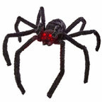 Poisonous spiders Animated