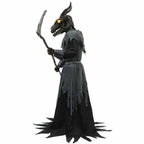 Sheep's Head Animated