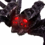 Poisonous spiders Animated