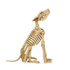Animated LED Sit-and-Stand Skeleton Wolves (2-Pack)